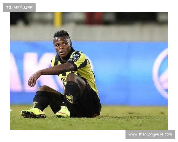 帕利尼亚冬季转会期目标揭晓 五大关键愿望解析